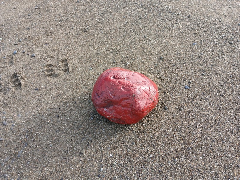 South Canterbury rural landscape