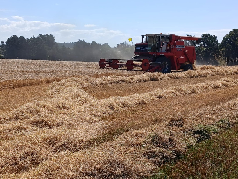 Farm development and improvement